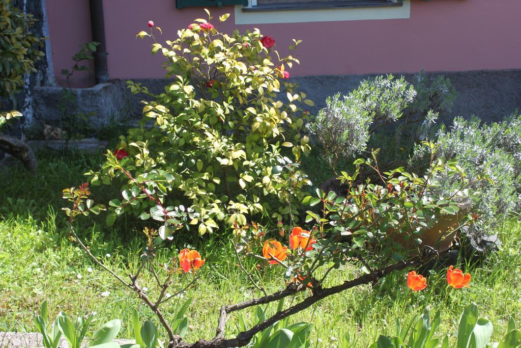 Apartament Le Ginestre Levanto Pokój zdjęcie